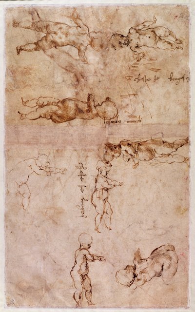 Page of sketches of babies or cherubs by Michelangelo Buonarroti